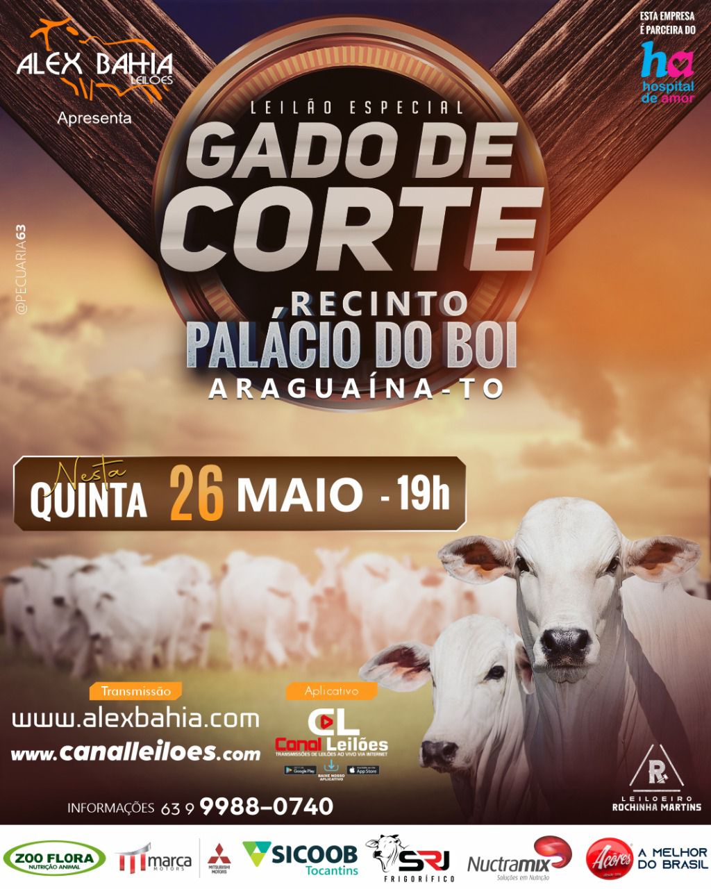 LEILÃO GADO DE CORTE ALEX BAHIA LEILÕES