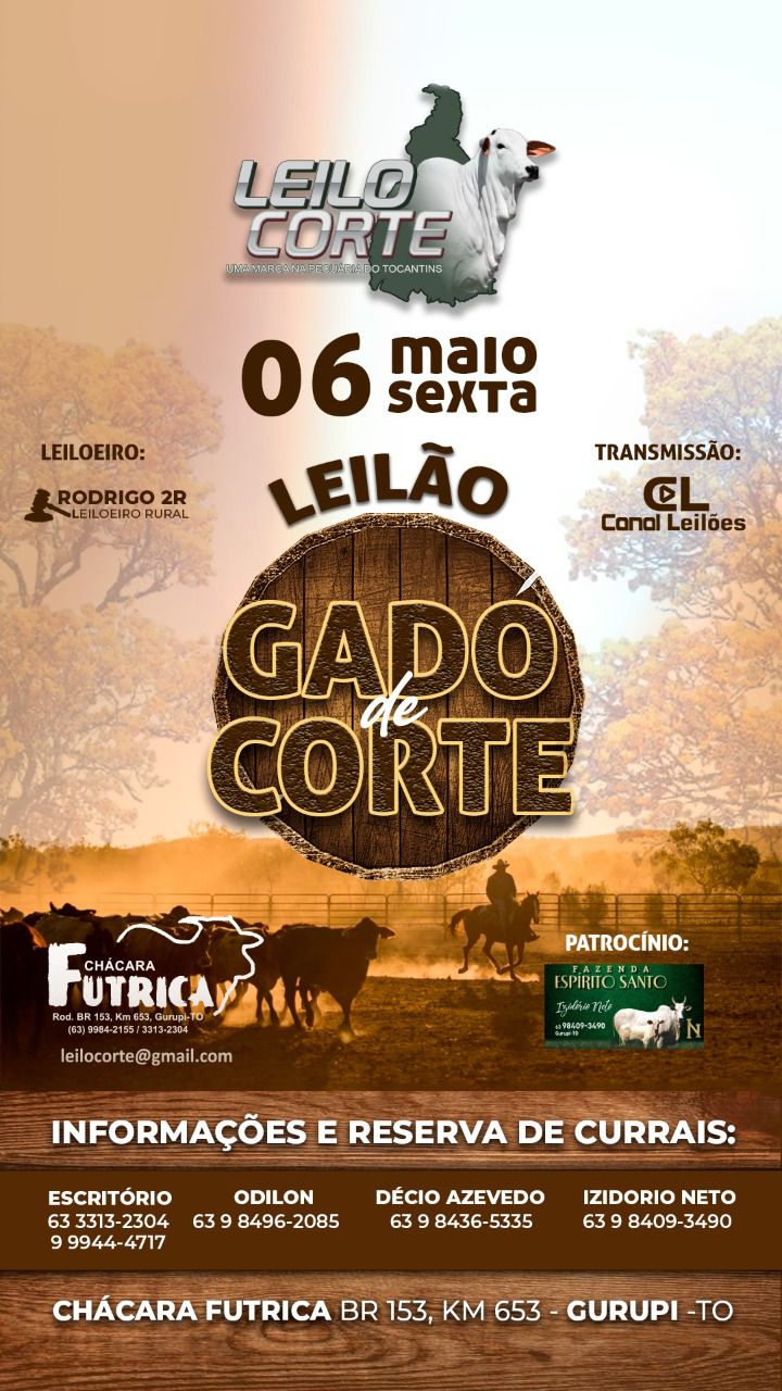 LEILÃO GADO DE CORTE LEILOCORTE LEILÕES