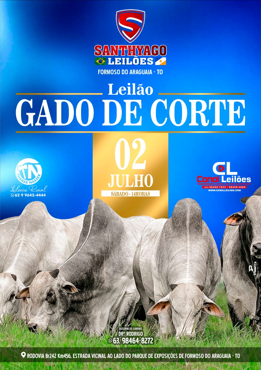 LEILÃO GADO DE CORTE SANTHYAGO LEILÕES