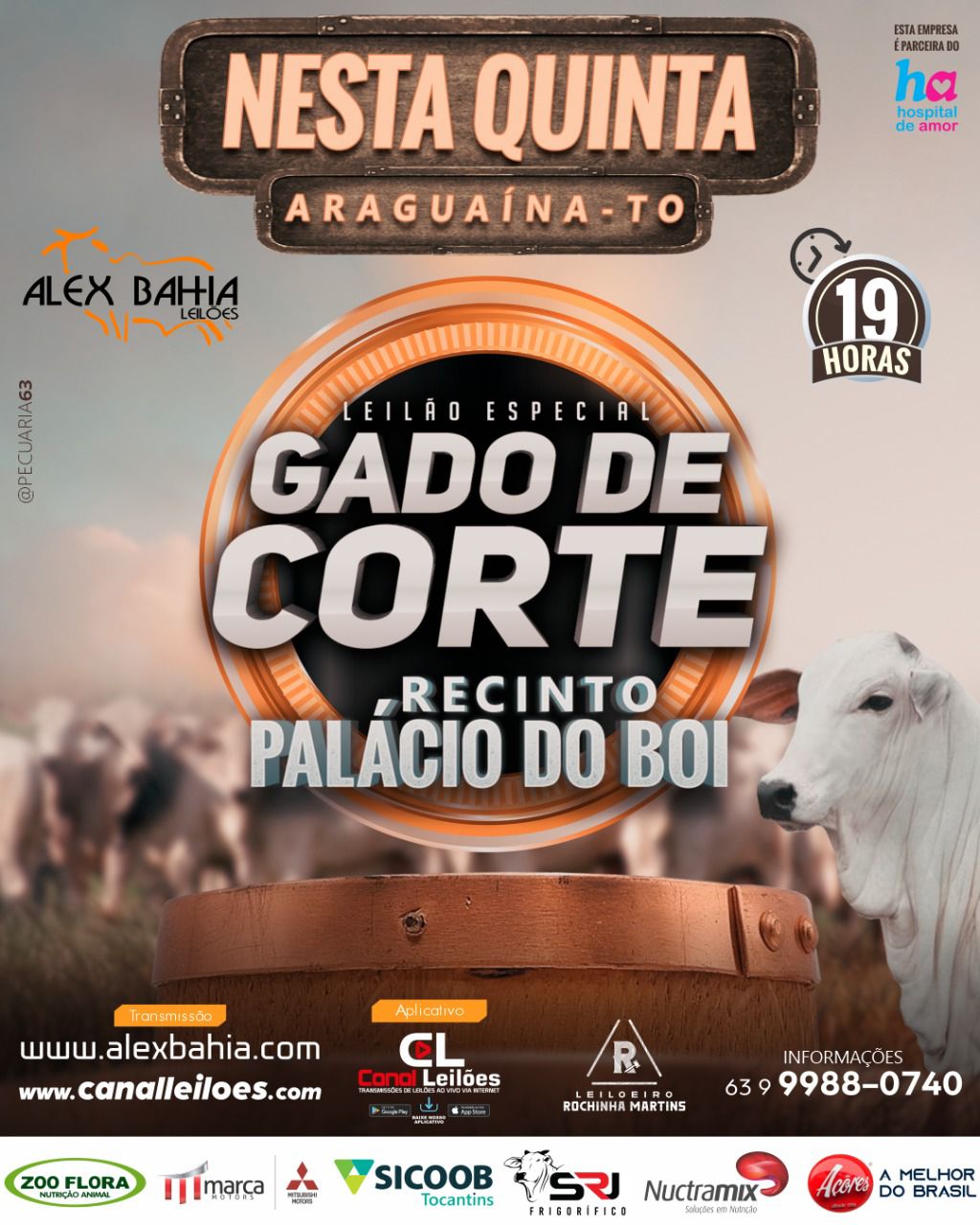 LEILÃO ESPECIAL DE GADO DE CORTE - ALEX BAHIA LEILÕES