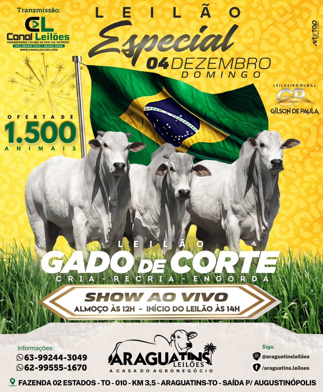 LEILÃO GADO DE CORTE - ARAGUATINS LEILÕES