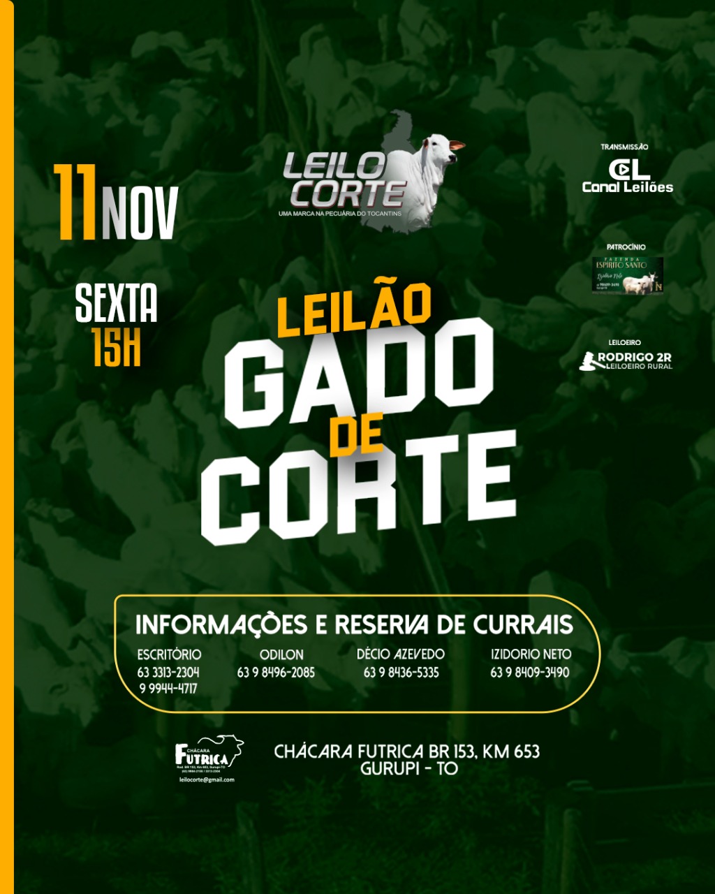 LEILÃO GADO DE CORTE - LEILOCORTE LEILÕES